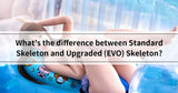 Standard Skeleton vs. EVO Skeleton: Which One Should You Choose?