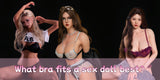 What bra fits a sex doll best?