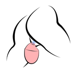 5-Speed Multiple-Frequency Clitoral Suction Egg