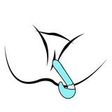 Smart APP-Controlled Dual-Motor Thrusting Dildo