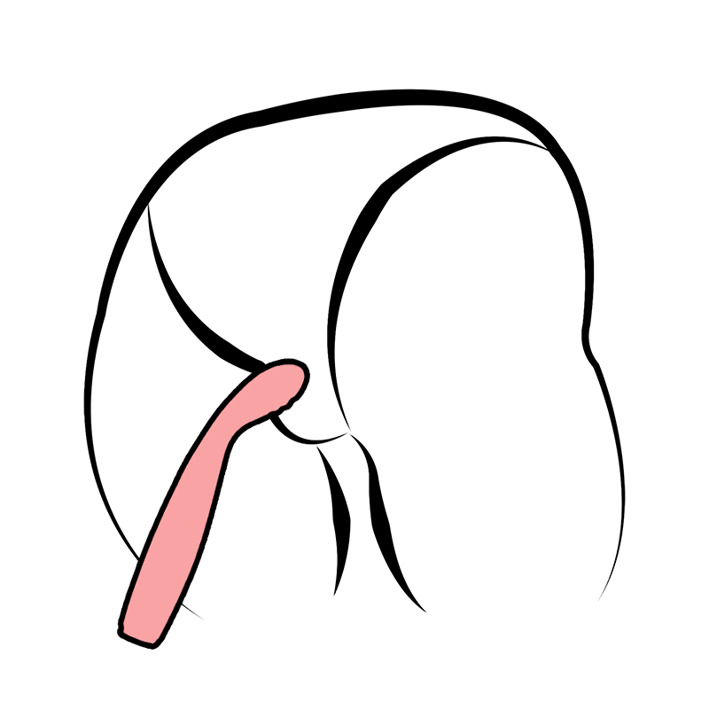 5-Mode Soft Silicone Quiet G-Spot Vibrator