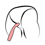 5-Mode Soft Silicone Quiet G-Spot Vibrator