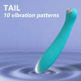 Dual-Head EMS Electric Pulse Vibrator with 3 Modes