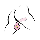 Double Snail Wearable 10-Mode Vibrating Rod