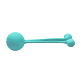 Flexible 10-Speed Wearable bean sprout stick