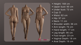168cm/5ft5 D-cup Silicone Sex Doll – Skylar