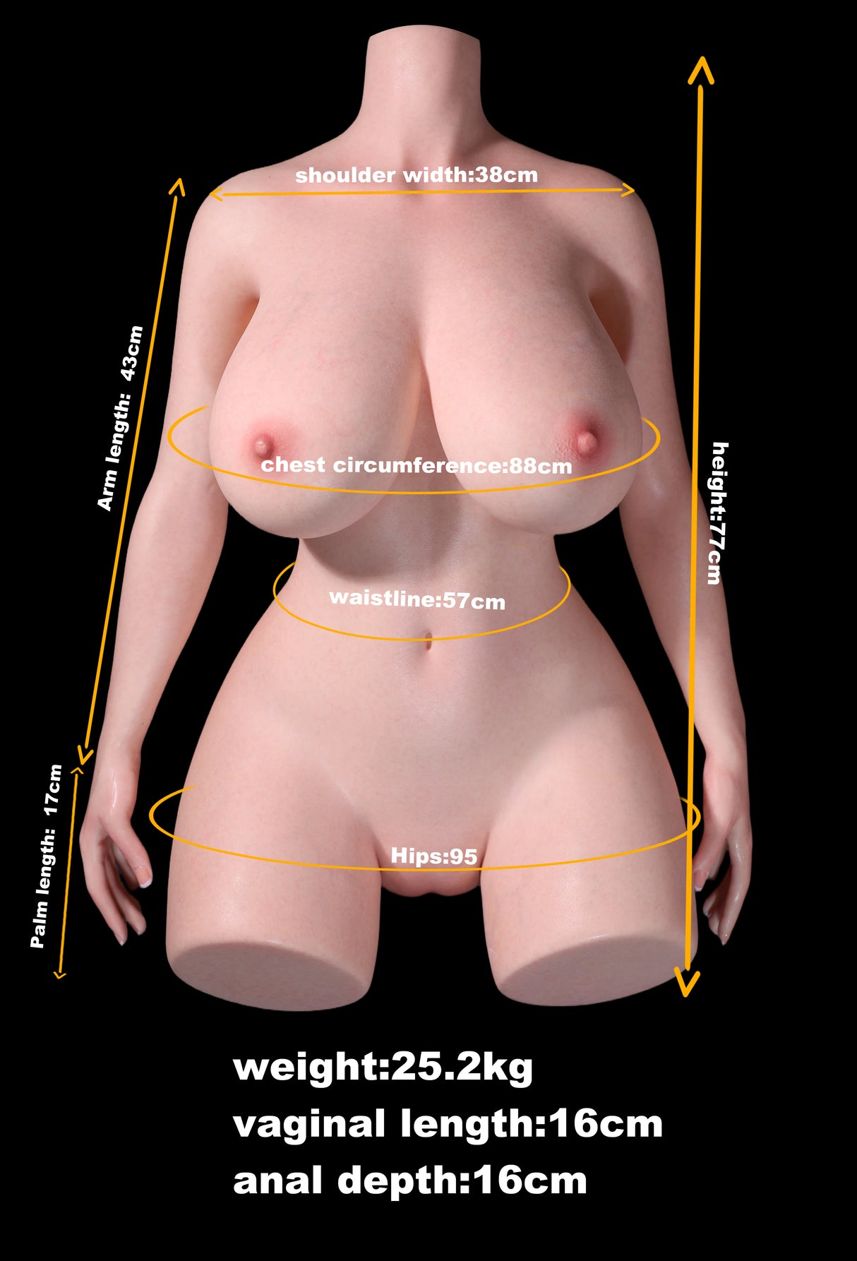 96cm/3ft2 F-cup Silicone Sex Doll Torso – Ada